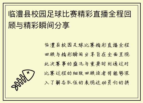 临澧县校园足球比赛精彩直播全程回顾与精彩瞬间分享