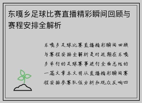 东嘎乡足球比赛直播精彩瞬间回顾与赛程安排全解析